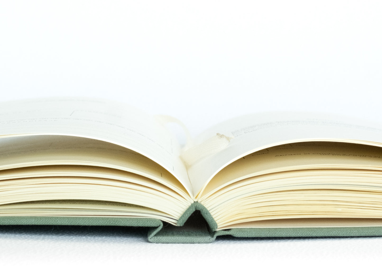 Journal Verde Olivo